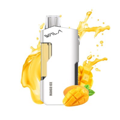 4.jpg WALA YO – Mango Ice
