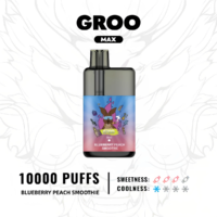 GROO MAX - Blueberry Peach Smoothie