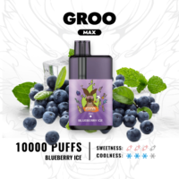 GROO MAX - Blueberry Ice