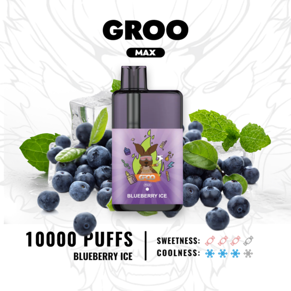GROO MAX - Blueberry Ice