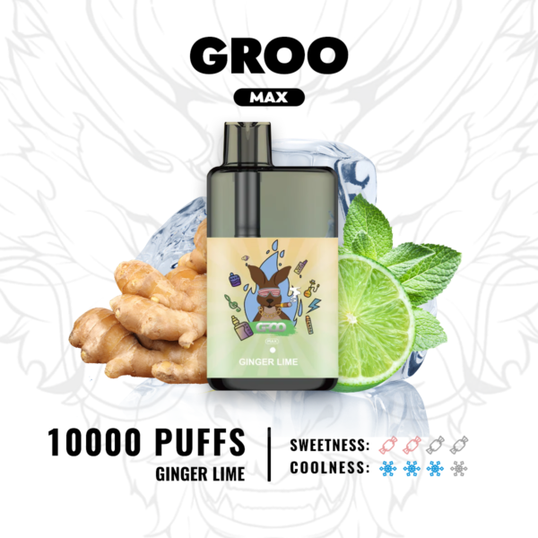 Groo-Max-GINGER-LIME-26.png GROO MAX - Ginger Lime