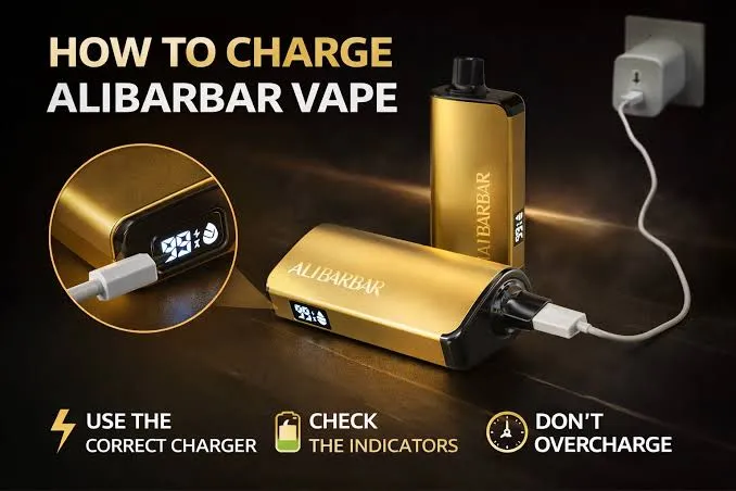 quadruple berry alibarbar battery performance showing 650mah capacity charging schedule and 5 recharge cycles over 14 days