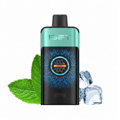 Mint-ice IGET ONE – Mountain Spring Mint Ice