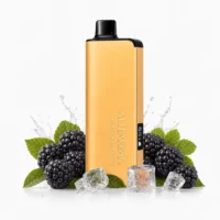 Blackberry Ice