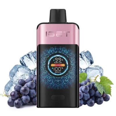 IGET ONE – Grape Ice